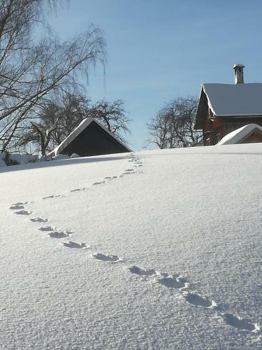 Apartamento Zur Alten Schlosserei