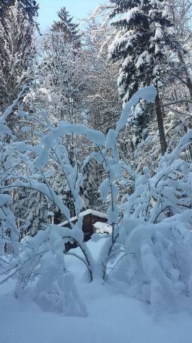 Apartamento Zur Alten Schlosserei