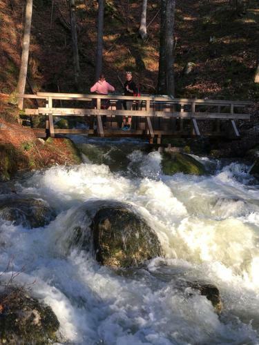 Apartamento Haus Rathore