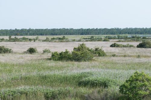 Apartamento Grand Beach Resort Penthouse 1