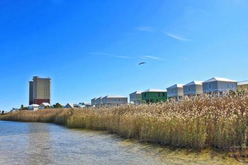 Serendipity Sands By Youngs Suncoast