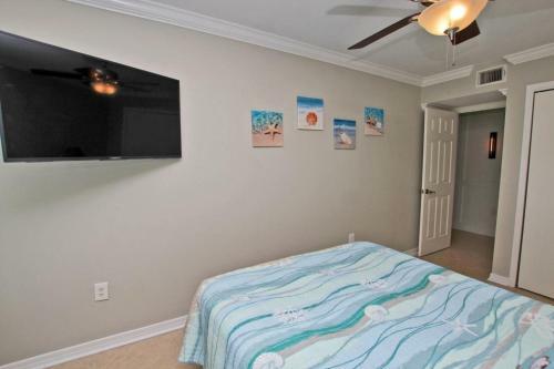 Island Winds West 280 By Youngs Suncoast