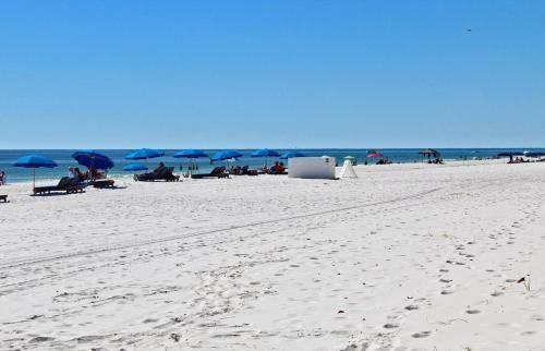 Island Winds West 280 By Youngs Suncoast