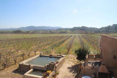 Villa Masia Rural L'hort De Maso