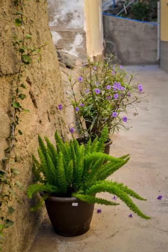 Apartamento Casa Piedra Picuda 1