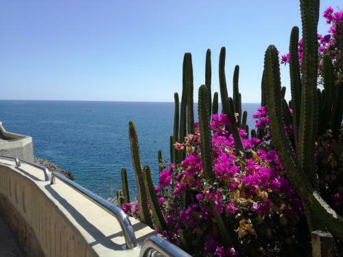 Apartamento Luxury 2 Bedroom Apt 2 Min From Beach