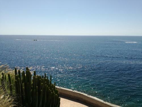 Apartamento Luxury 2 Bedroom Apt 50 M From Beach