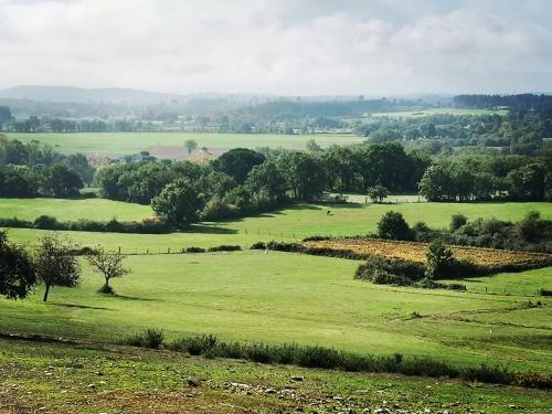 Casa Con Finca En Pol (monforte De Lemos)