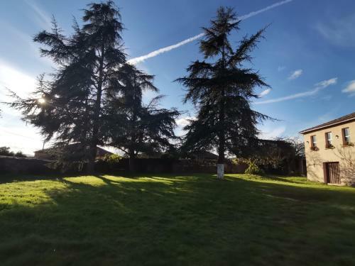 Casa Con Finca En Pol (monforte De Lemos)