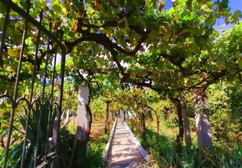 Morin Grey Casa En El Coraz�n De La Ribeira Sacra
