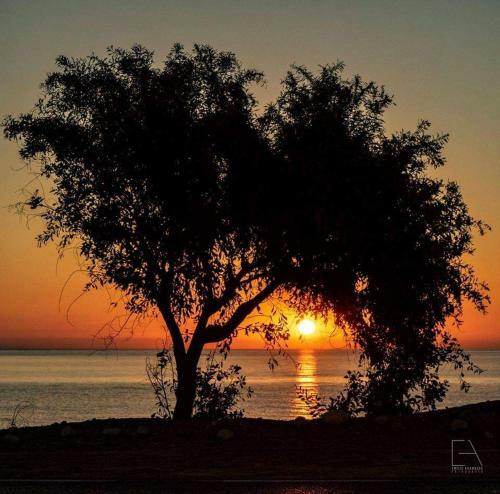 Apartamento Spirit Of Mojacar