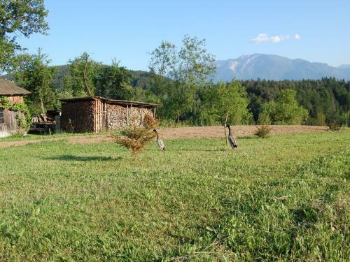 Holiday Home Pfeifer Ruden