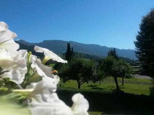 Hostal Hotel Gasthof Adler
