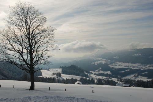 Hotel Gasthof L�wen