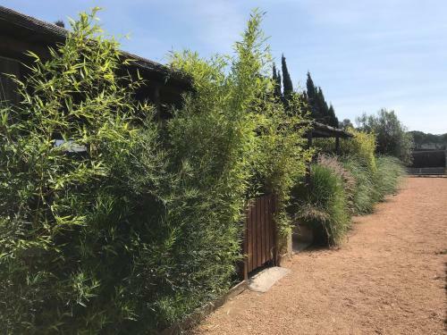 Apartamento Hauzify I Aires de L'empord�