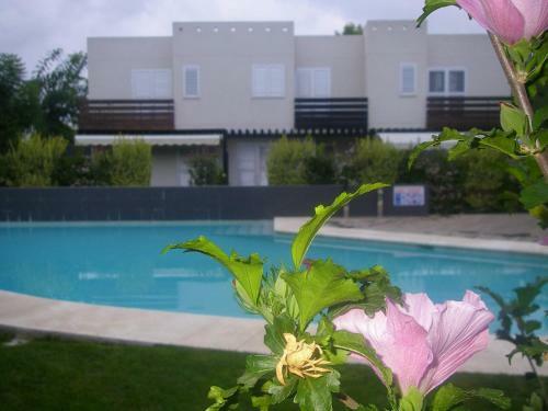House Beach Las Palmeiras