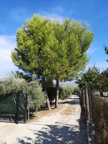 Agroturismo Casa Rural Miralmonte
