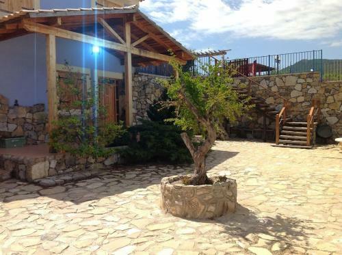 Casa Mistral