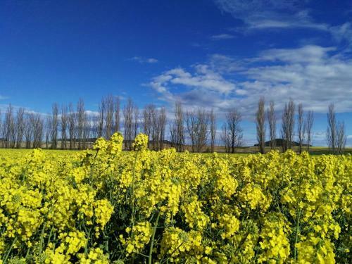 Apartamento La Aldea Colorada