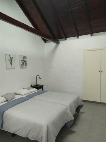 Moya, Senderos Y Naturaleza