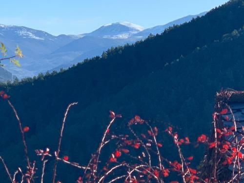 Casa Rural Pirineu Nev�