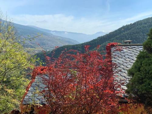 Casa Rural Pirineu Nev�