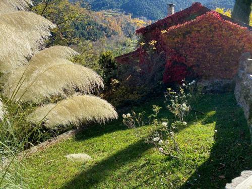 Casa Rural Pirineu Nev�