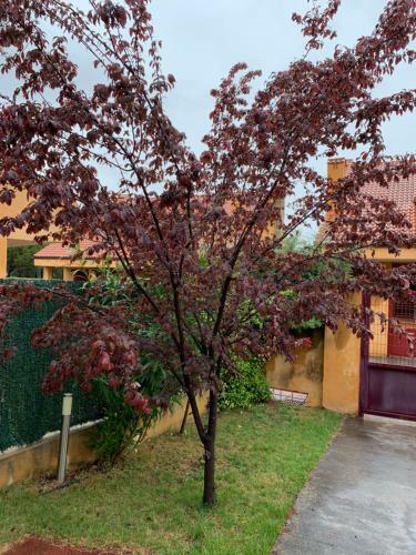 Casa Navalafuente-madrid Sierra Norte