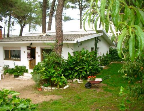 Casa Aventura II
