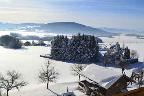 Hostal Landgasthof Franz Josef