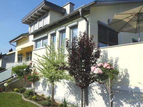 Apartamento Appartementhaus Elfi