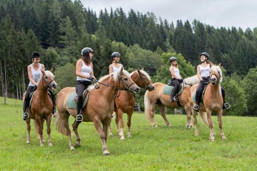 Posada Landgasthof Zum Hammerschmied