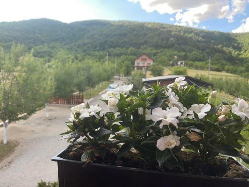Villa Vila Dani - Lohovo