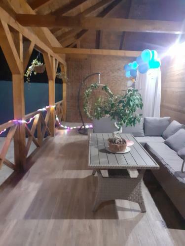 Villa Vikendica Drinska Kraljica