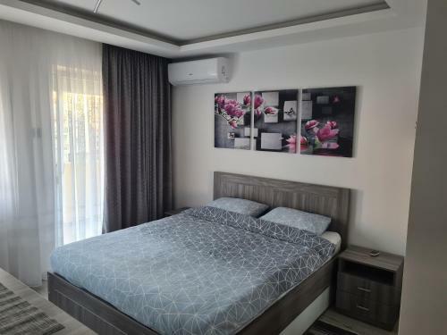 Ema Apartman