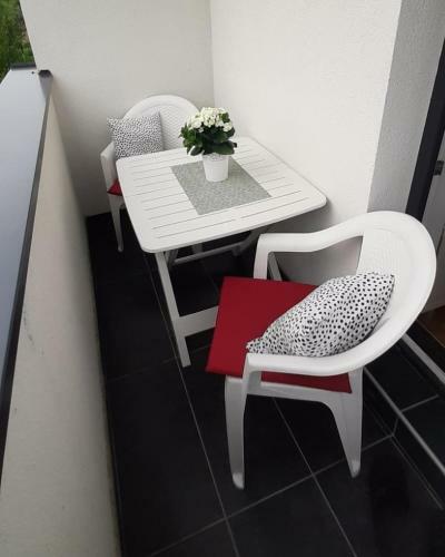 Apartman Tolstoj