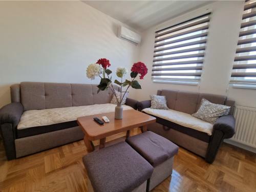 Apartman Moskva Bijeljina