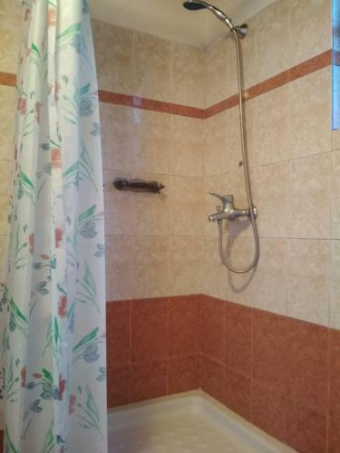 Hostal Guesthouse Celos