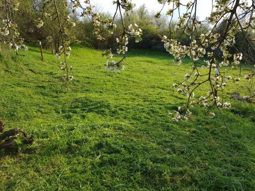 Holiday Home Arbanasi