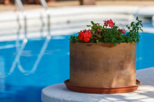 Apartamento Casa Duende En Villa de Nijar Con Piscina