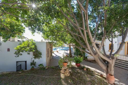 Villa Con Piscina En N�jar