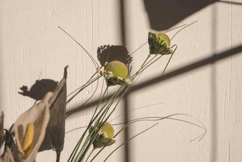 Casa Rural El Sauce. A 2,5 Km De Cuenca Capital