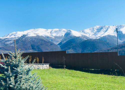 Hotel Cottage Chalet And Tours