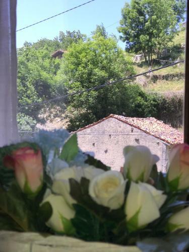 Agroturismo Casa La Quintana