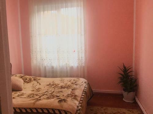 Guesthouse/b&b