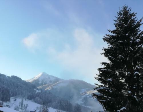 Apartamento Appartement Gruber-hofer