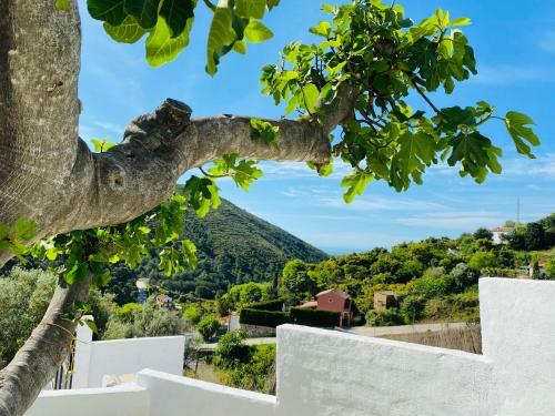 Finca Flores