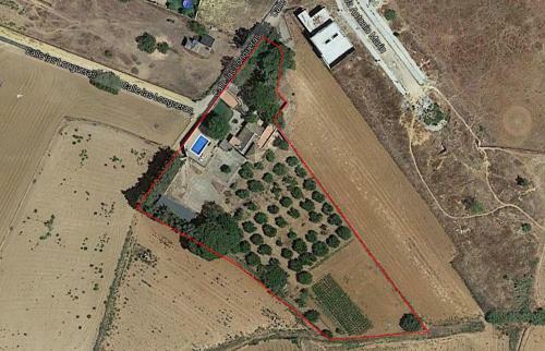 Casa Rural Sevilla, Olivares