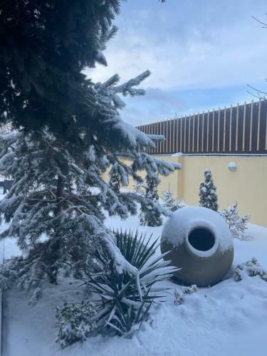 Villa Quattro Armenia - Comfortable Villa With Open Pool
