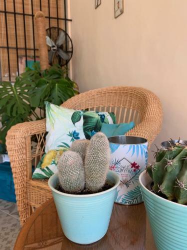 Bed & Breakfast Casa Alestelou
